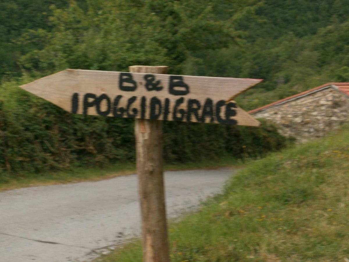 I Poggi Di Grace Bed & Breakfast Fivizzano Exterior photo